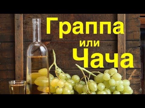 Граппа или чача. Мезга плюс виноградный сок. Часть 1.