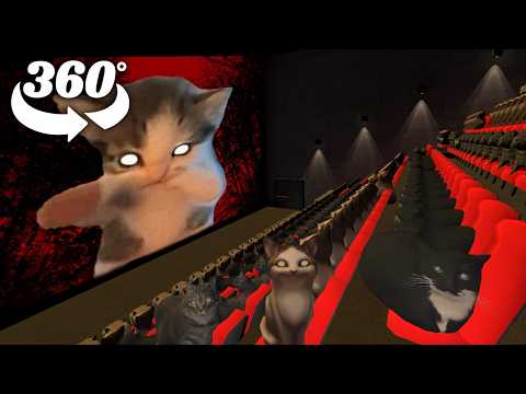 Scuba Cat in Cinema Hall ! 360° VR