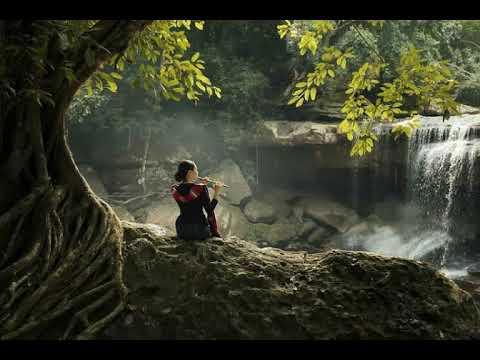 |Flute music ||| Nature love || Whatsapp Status||