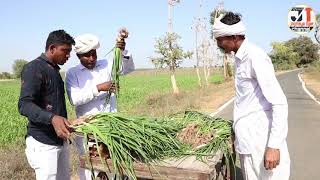 મોમાં-ભોણાએ ચાલુ કર્યો ડુંગળીનો વ્યાપાર | MOMA-BHONA A CHALU KARYO DHUNGALI NO VEPAR | NEW COMEDY