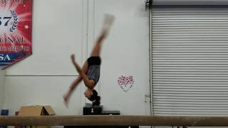 Emily White (2020), L10 Beam Partial Routine Part I -  BHS, Layout, Step-out series and Front Aerial