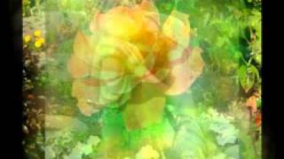 flower power.flv