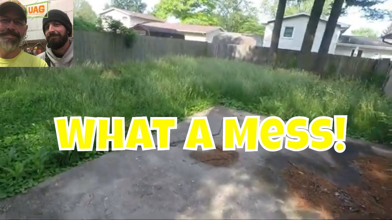 Mowing & Trimming Tall Wet Grass