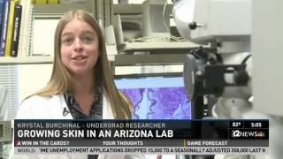 Development Engineering Sciences - Growing Skin from Scratch