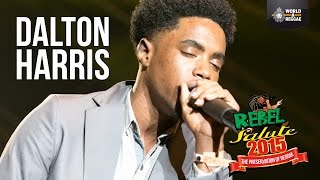 Dalton Harris - Live at Rebel Salute 2015 chords