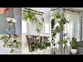 Inspire se com estas 18 ideias de plantas na decoração! Ideias de suporte para decorar!