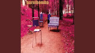 Download Lagu Krukken MP3