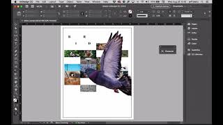 Indesign Illustrator Photoshop Packaging Files