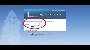 How to Log In to Blackboard