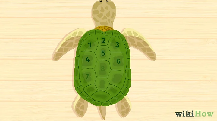 How to Tell a Turtle's Age - DayDayNews