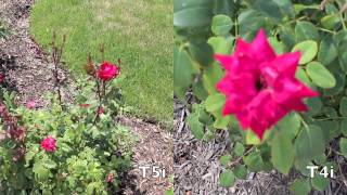 Canon T5i vs T4i Video Quality Test | Full 1080HD Comparison | Canon Rebel EOS 700D vs 650D