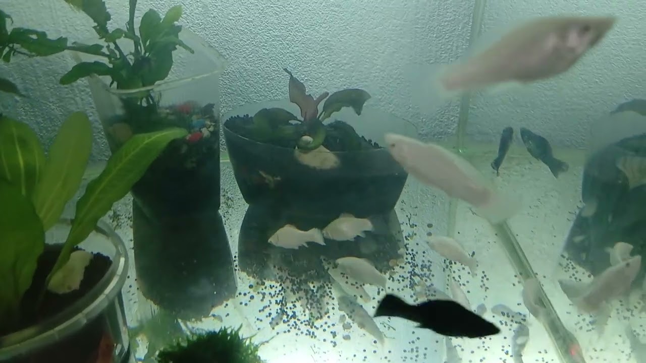 8 марта 2026 г.