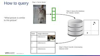 Vector Databases-   What, Why, and How? Steve Pousty (VMWare)