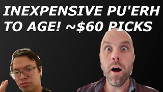 Picking Inexpensive Pu'erh To Age. $250 for 4 Cakes Budget! [Episode 534]