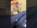 これは生前最後の、俺の部屋でいちゃいちゃしているとろろ