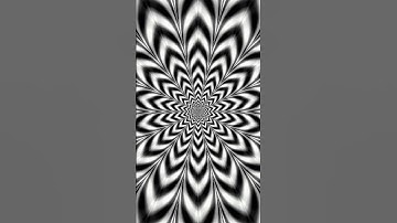 Who saw the panda ? #youtubeshorts #shortvideo #trendingshorts #illusion #panda #trendingvideo