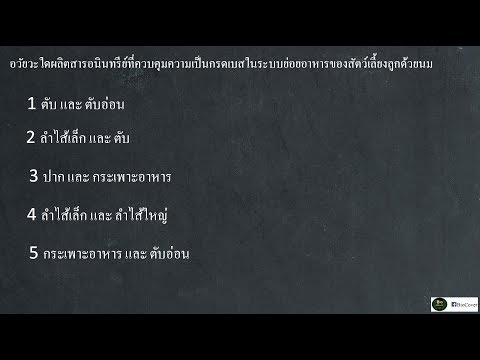 ชีววิทยา เฉลย 9 วิชาสามัญ 59 ข้อ 11 : ระบบย่อยอาหาร