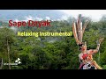Sape Dayak || Relaxing Instrumental (No Copyright)