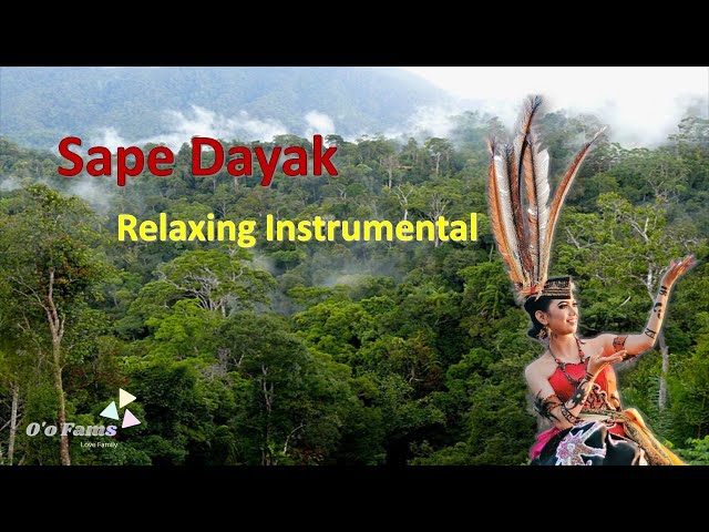 Sape Dayak || Relaxing Instrumental (No Copyright) class=