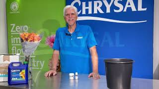 Enhance Your Floral Creations with Chrysal CVBN: The Ultimate Flower Conditioner