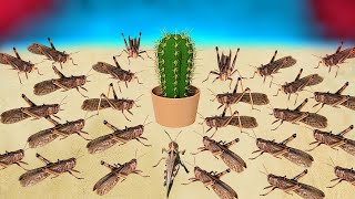 100 Hungry Locusts Against A Cactus