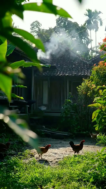 Desa tradisional Jawa Barat, Indonesia #cinematic #aestheticvideos #cinematicvideo