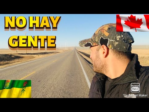 Cinco Razones Por Las Que Las Personas Acuden En Masa A Saskatchewan Para Trabajar