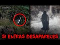 El BOSQUE más EMBRUJADO del MUNDO EL CASO REAL del que POCOS HABLAN