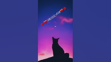 Thumbnail of 🌟وائل كفوري 🌟