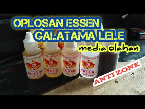 Cara Bikin Essen Oplosan Ikan Lele