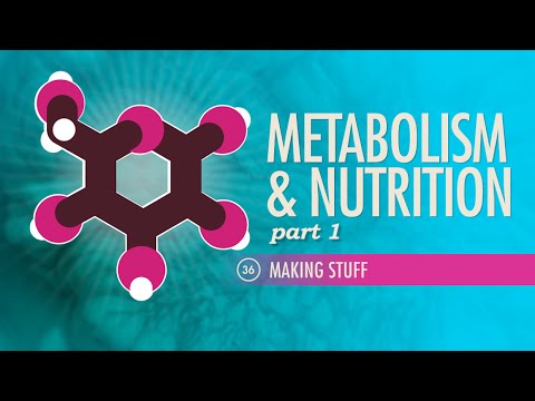 Anabolic process in metabolism