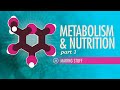 The Building Blocks of Life: Exploring Body Composition and Nutrients