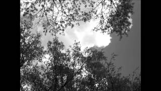 She Will Cry By Paxton Lebo