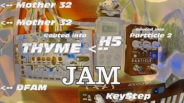 Zoom H5, Moog Mother 32s, DFAM + THYME, and Particle - Jam