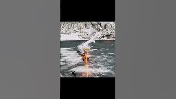 1% vs 100% Wukong’s Power. 👀