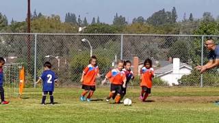AC Brea Girls Boys AYSO U5 Soccer Game 4 yr 5 yr old match philomena JUSA Soccer Pre-K Kindergarten screenshot 4