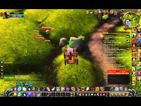 Quest Catch and Carry Pandaria WoW