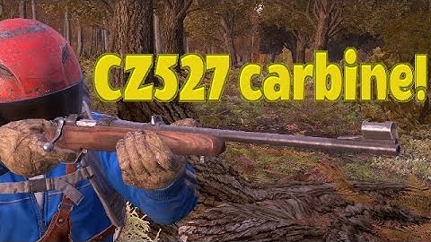 CR527 carbine - DayZ Standalone