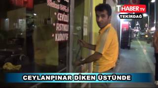 CEYLANPINAR DİKEN ÜSTÜNDE