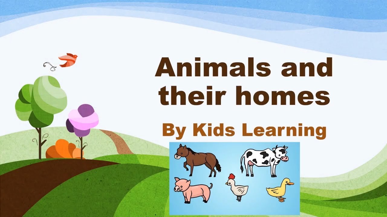 Learn English:Animals and their homes by Kids Learning - YouTube
