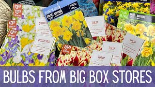 Comparing Flower Bulbs From Big Box Stores 🌷🌷🌷 || Fall Planted Bulbs || Plant Haul 2023