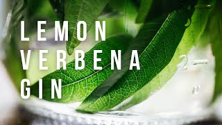 Lemon Verbena Gin Recipe