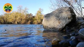 Природный Звук Реки Медитация И Релаксация Под Шум Воды