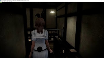 Crashing After Leaving in Chapter 12 | Cemu 1.14 Project Zero