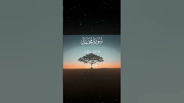 سورة محمد 24 القارئ محمد اللحيدان قران Quran راحة نفسية قران كريم تلاوة هادئة آية تلاوة خاشعة 
