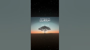 سورة محمد|24|القارئ:#محمد_اللحيدان #قران #quran #راحة_نفسية #قران_كريم #تلاوة_هادئة #آية#تلاوة_خاشعة