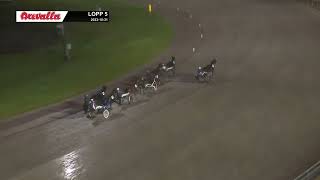 Vidéo de la course PMU PRIX ELCENTER I SKOVDES STOLOPP