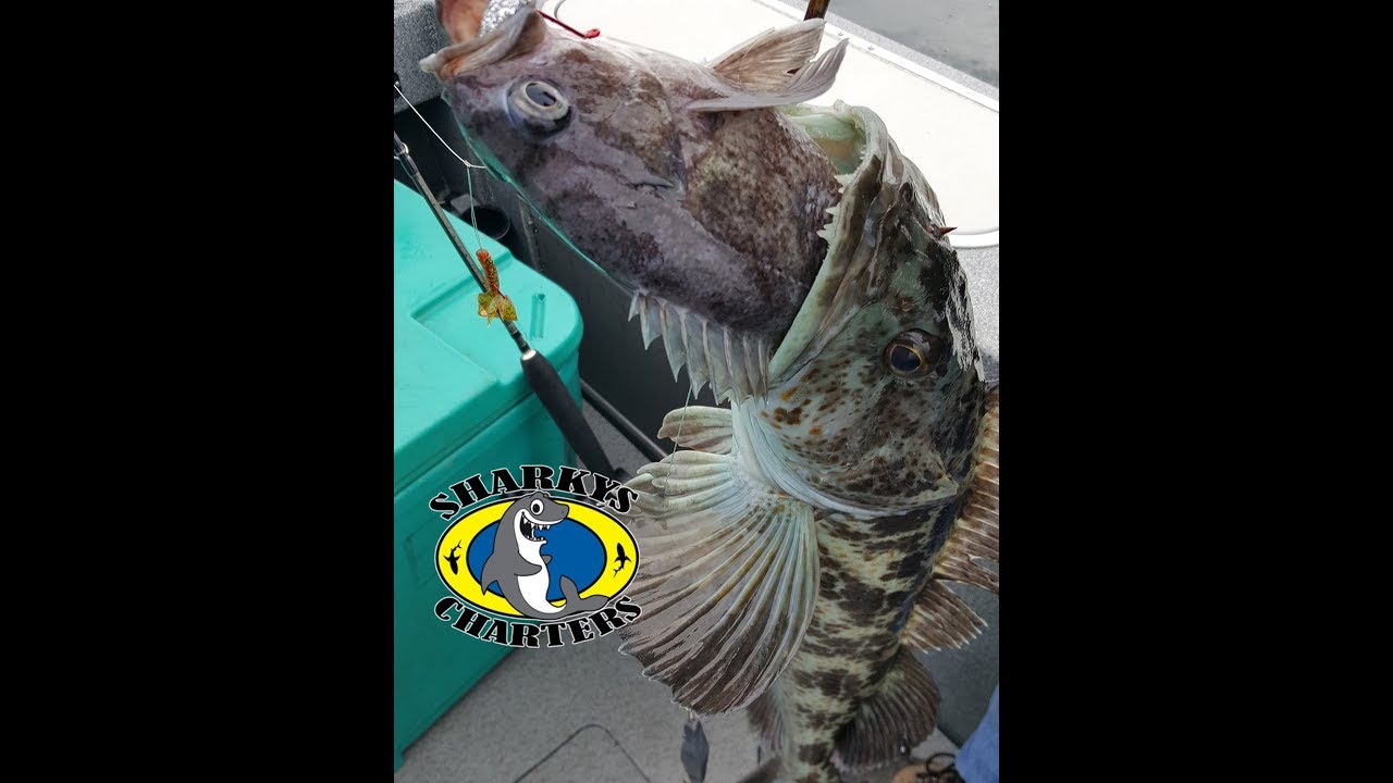 Charter and Guided Fishing in Coos Bay Oregon YouTube