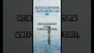 인생이 괴로운 진짜 이유|쇼펜하우어가 말한 비교의 함정|남과 비교할수록 불행해지는 이유 #명언 #성공습관 #동기부여 #마음의소리로쓰는글 #좋은글 #긍정의말 #멋진글귀 #인생조언