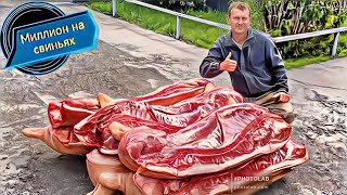 ‼️Забой‼️Мяса много не бывает.‼️Купили новую машину‼️ 